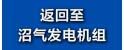返回至沼气发电机组.jpg
