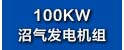 100KW沼气发电机组.jpg