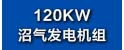 120KW沼气发电机组.jpg