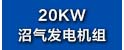 20KW.jpg