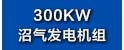 300KW沼气发电机组.jpg
