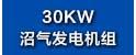 30KW.jpg
