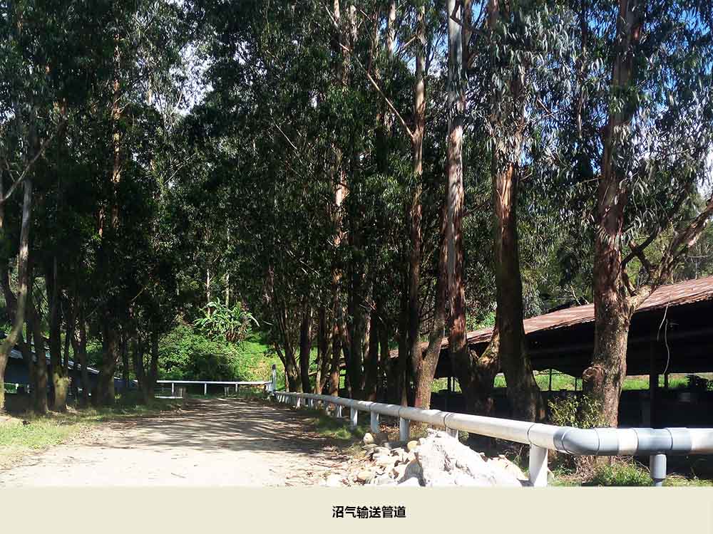 沼气输送管道.jpg